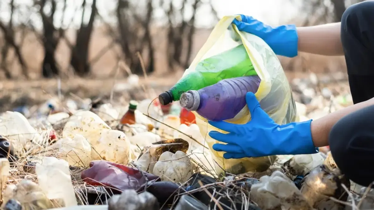 Barang apa saja yang diterima bank sampah? Mulai dari sampah plastik, kertas, logam (kaleng, besi, alumunium), dan kaca bisa dijual di bank sampah (Sumber : Freepik.com)