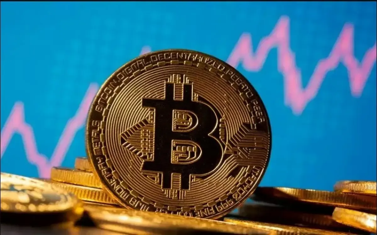 Illustrasi Bitcoin (Sumber : Pixabay)