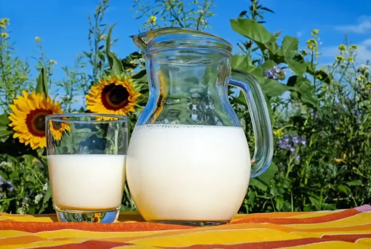 Ilustrasi, minuman susu yang mengadung protein. (Sumber : Pixabay.com/Couleur)