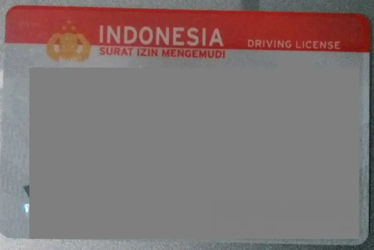 Surat Izin Mengemudi (Sumber : Istimewa)