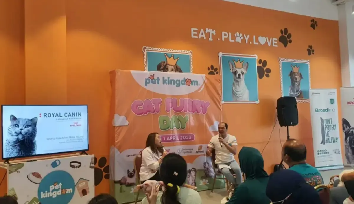 Pet Kingdom Selenggarakan Acara Cat Furry Day, Ajak Komunitas ICA (Sumber : LabViral.com)
