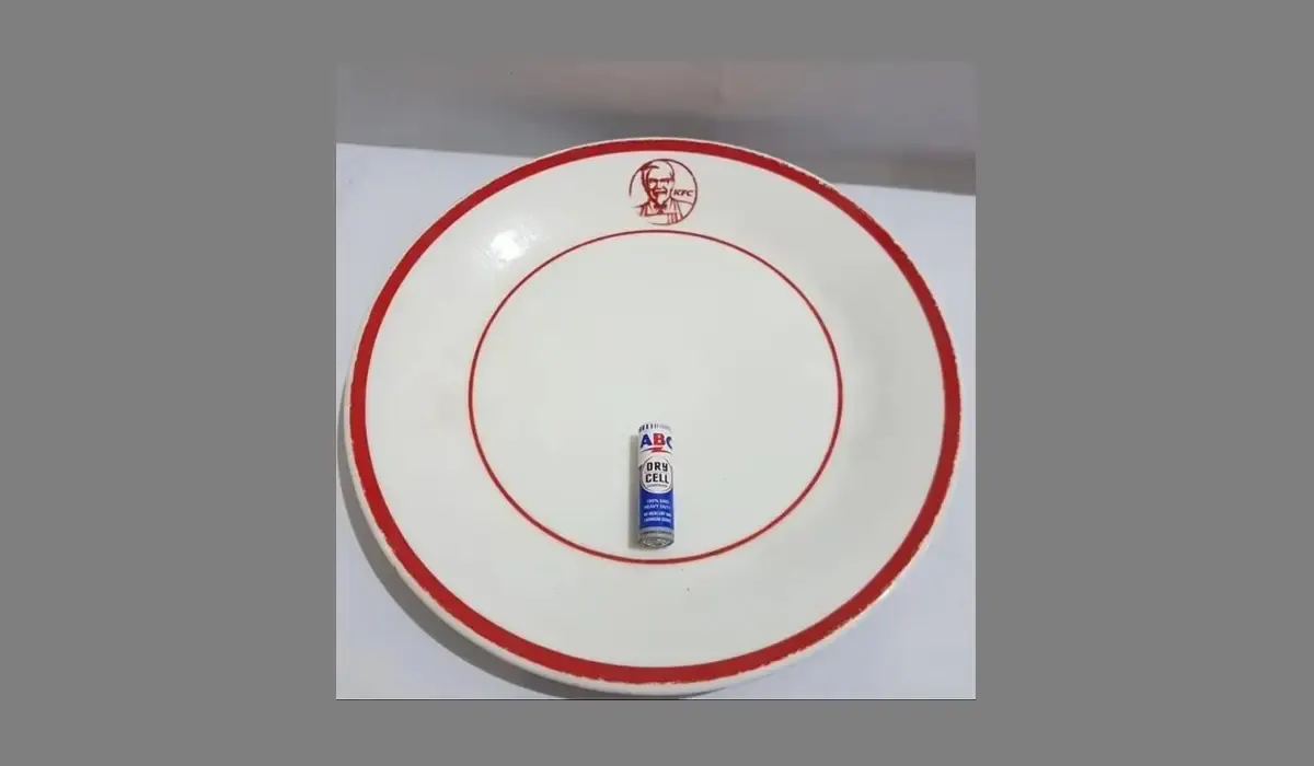 Heboh Piring KFC Hilang ? Seperti ini Ternyata Alasannya (Sumber : tokopedia.com)