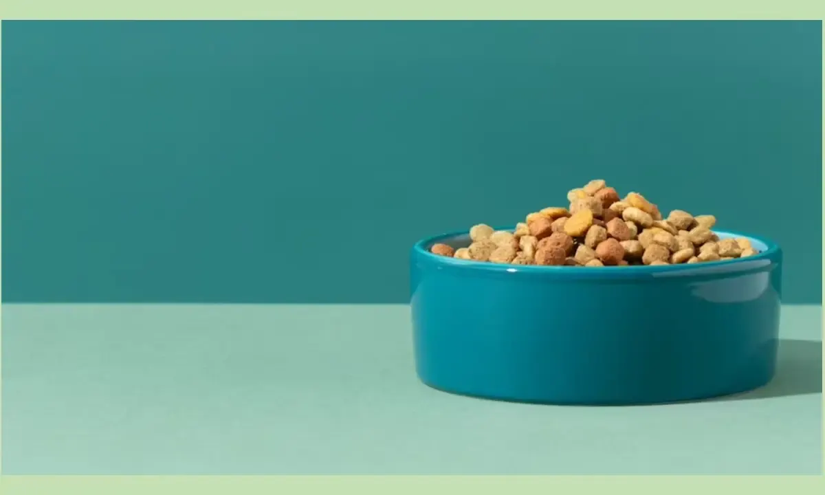 makanan kucing (Sumber : Freepik.com)