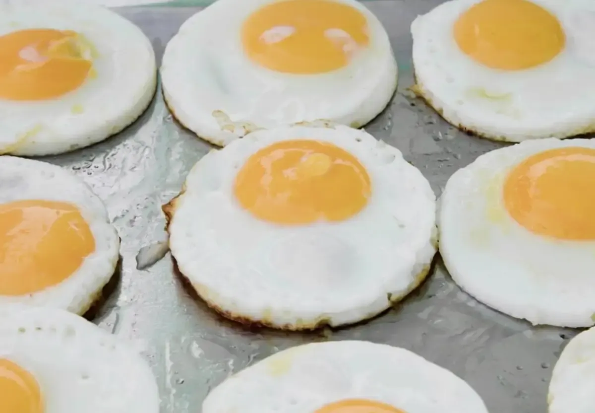 Makan Telur Kurangi Risiko Kardiovaskular 60 Persen, Makan Berapa Sehari? (FOTO: Freepik/jannoon028)