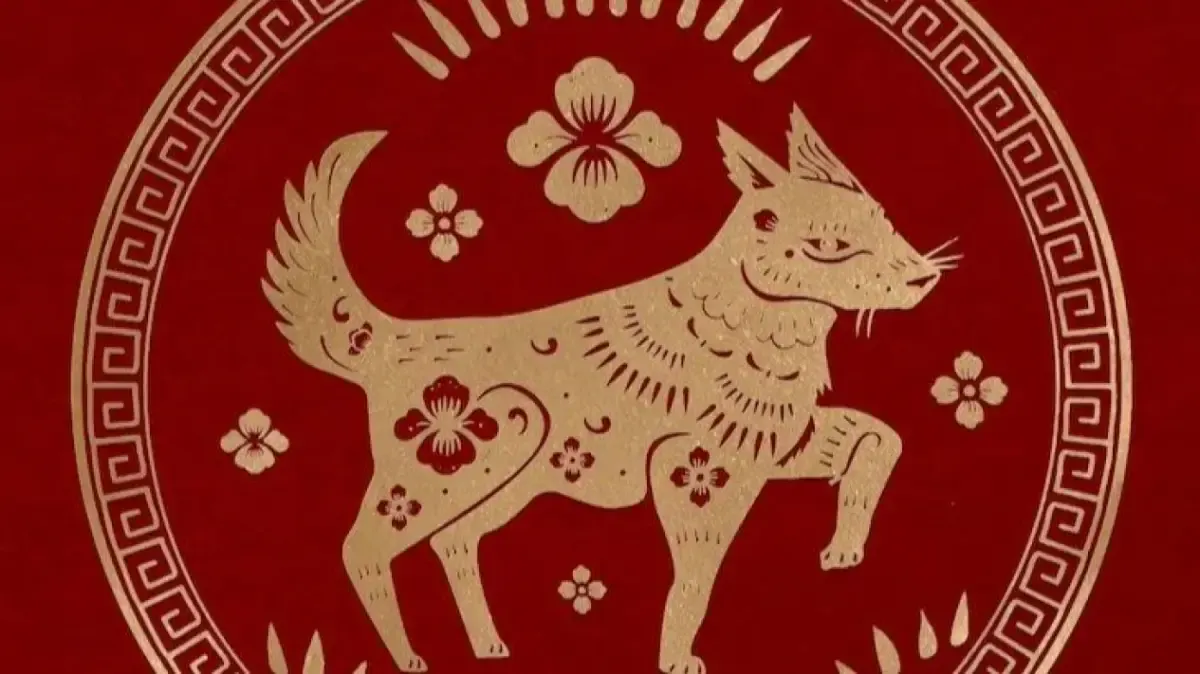 Ramalan Asmara dan Pekerjaan Shio Anjing, Senin 8 Mei 2023 (Sumber : Pixabay)