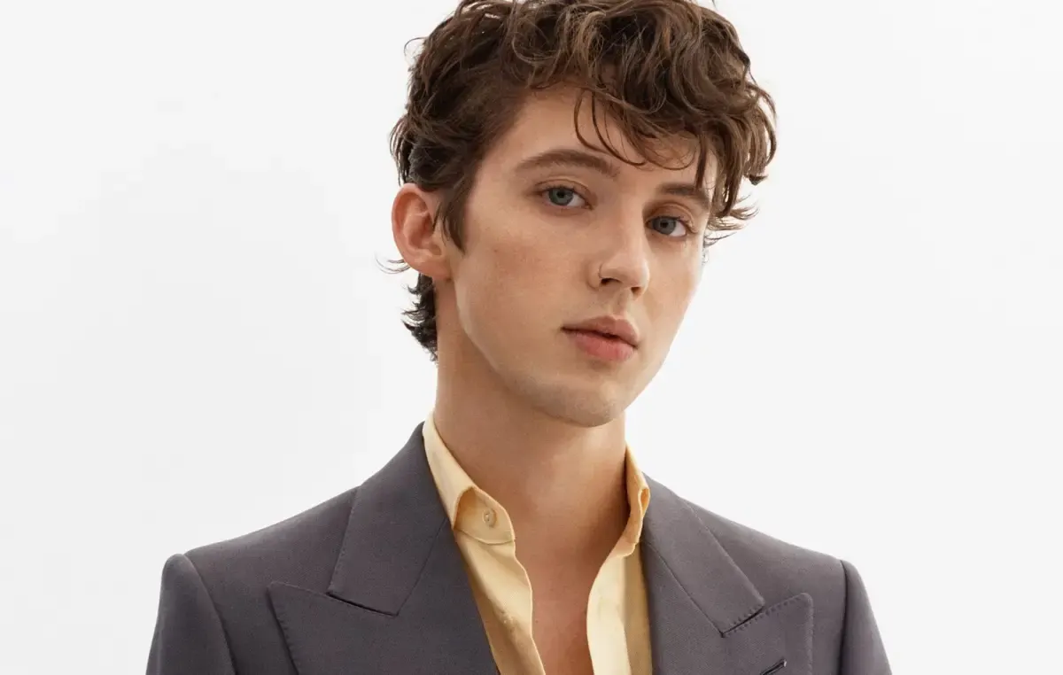 Ini Makna dari Lirik Lagu Angel Baby yang Dinyanyikan oleh Troye Sivan (Sumber : Pinterest)