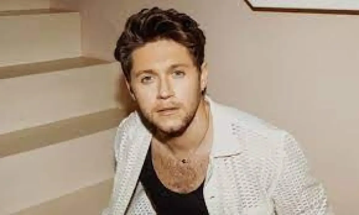 Lirik Lagu Meltdown Milik Niall Horan yang Asik Didengarkan (Sumber : Pinterest)