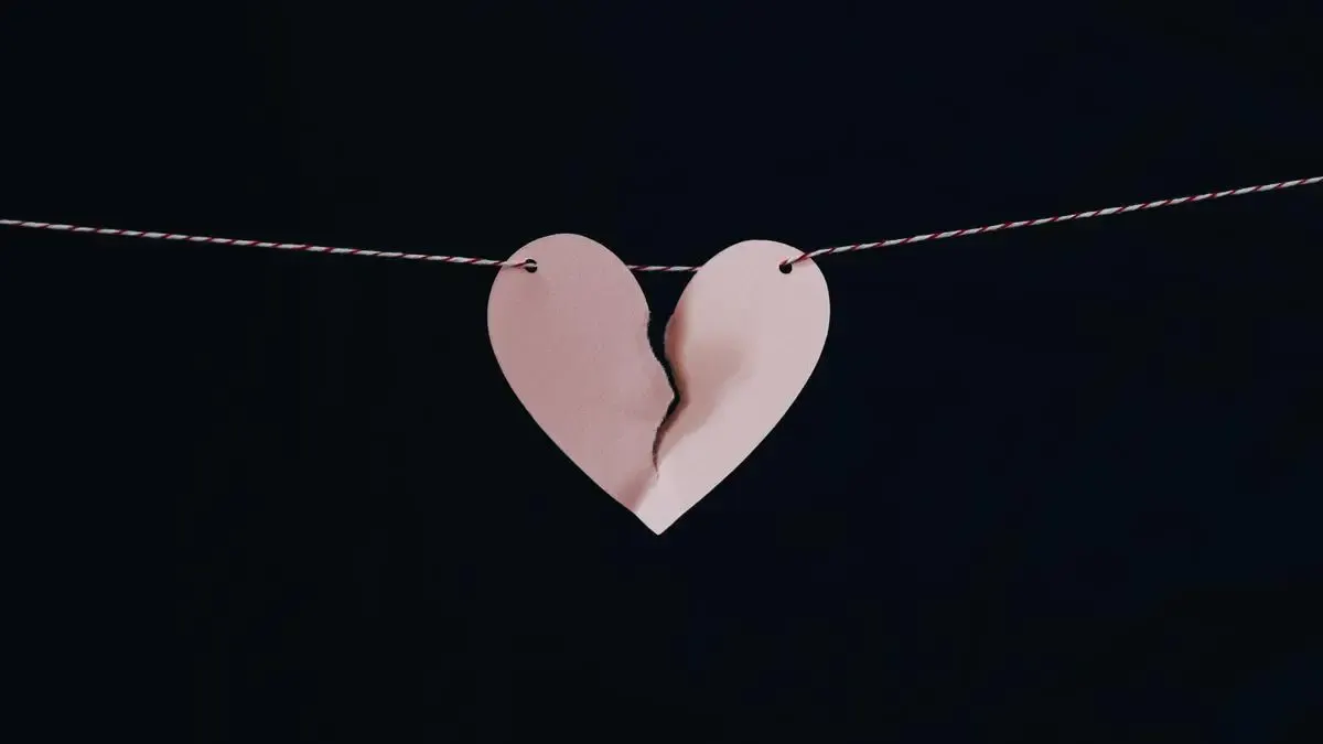 Lirik Lagu Mandar to Usayangngi yang Bercerita Mengenai Suatu Hubungan yang Memang Tidak Bisa Dipaksakan (Sumber : Pixabay)