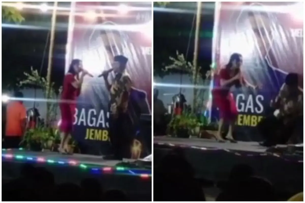 Momen Kades ambruk dan meninggal saat bernyanyi dengan biduan bergaun merah.  (Sumber : Tangkapan layar Twitter/@indo_dailynet)