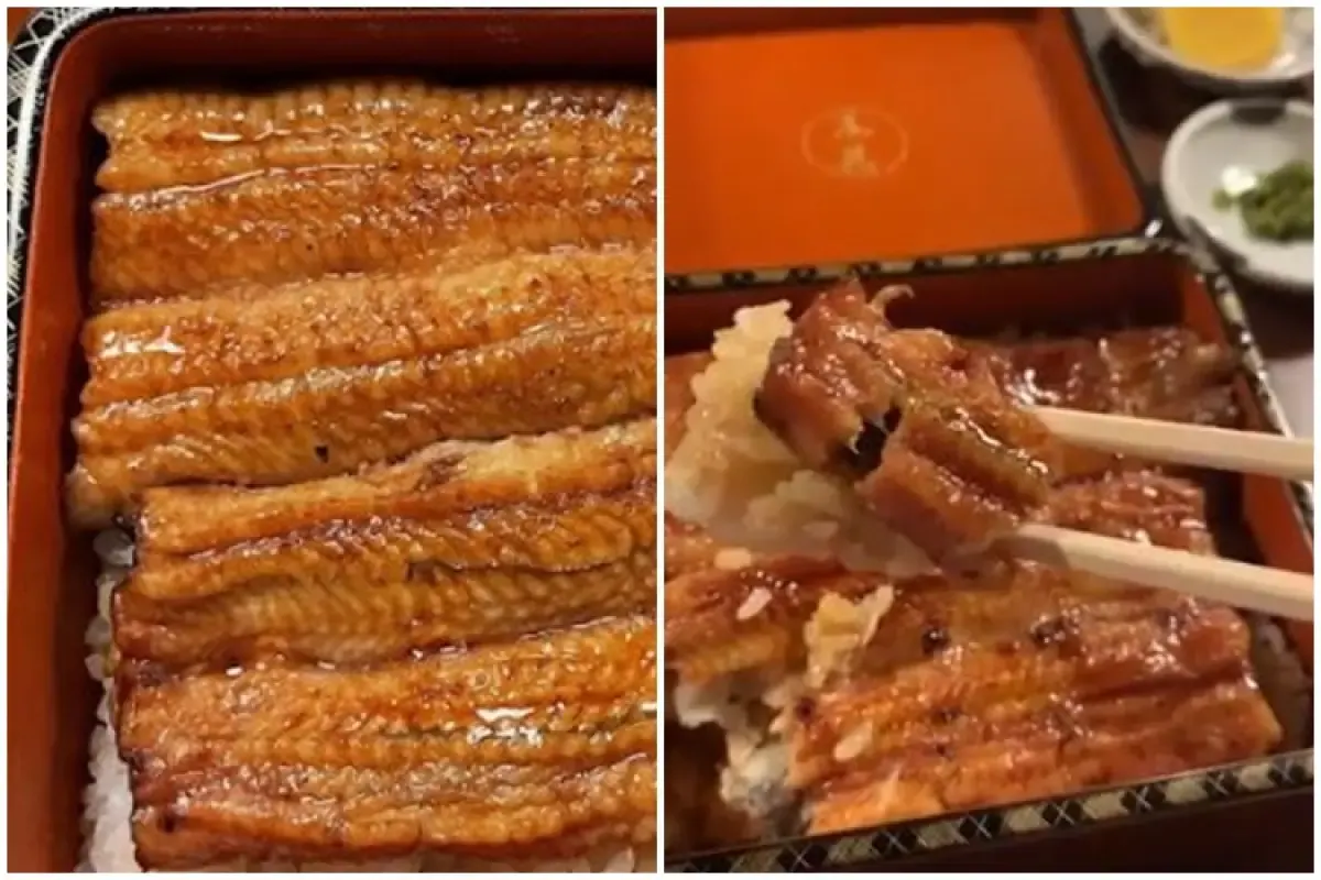 Olahan unagi di salah satu restoran Jepang yang menggugah selera.  (Sumber : dok.Unagi Obana)