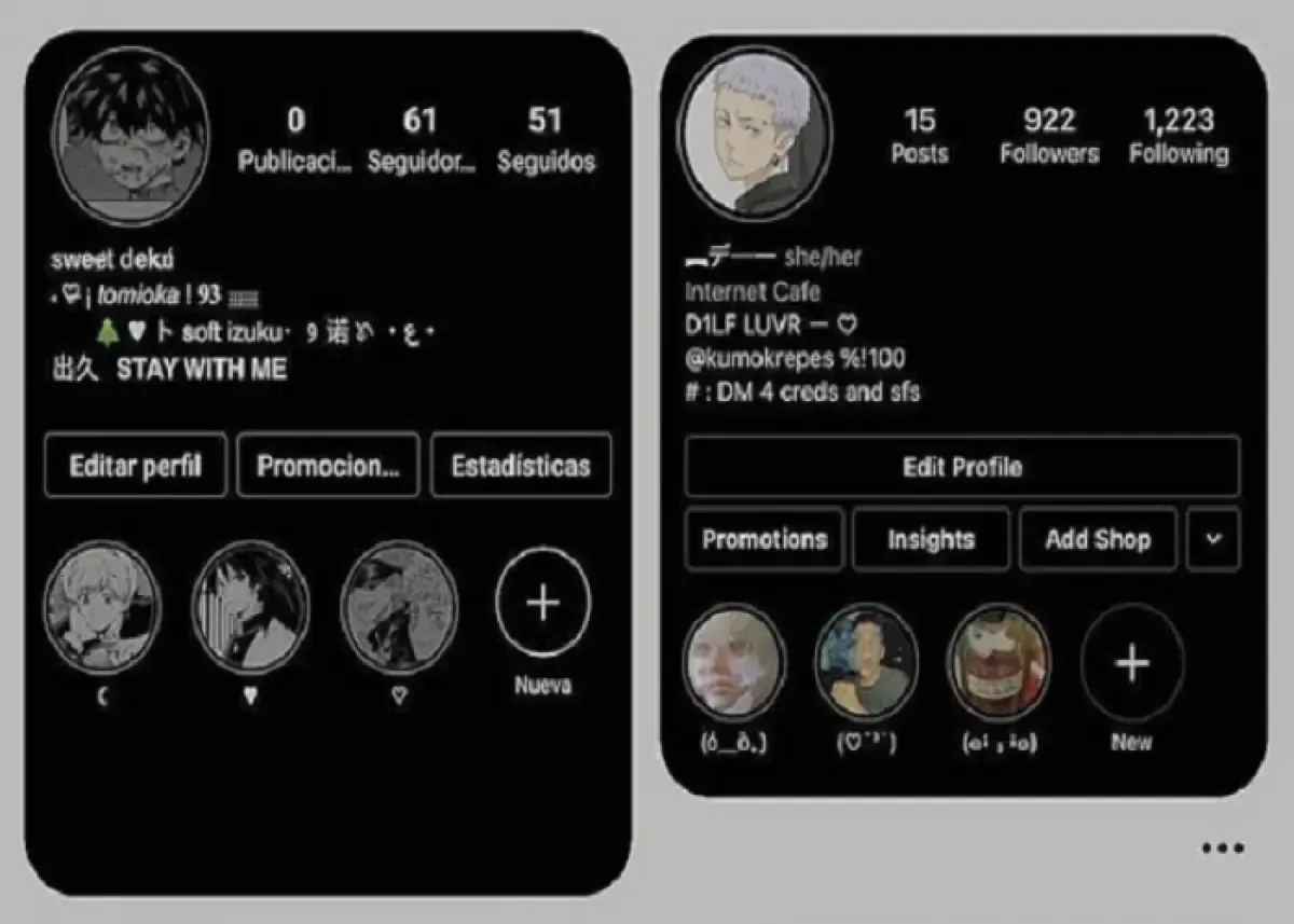 Ilustrasi bio Instagram menggunakan font unik (Sumber : pinterest.com/theju)