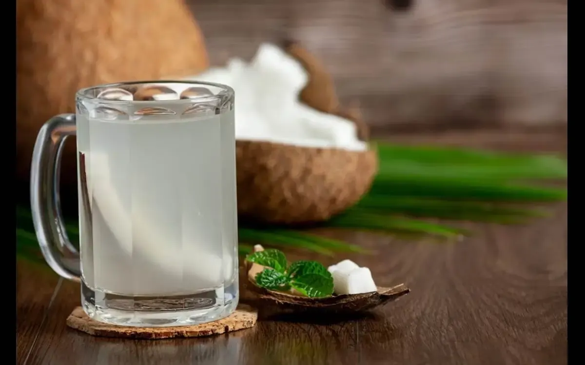 Manfaat Air Kelapa untuk Kesehatan: Hidrasi, Nutrisi, dan Kekebalan Tubuh (Sumber : freepik.com)