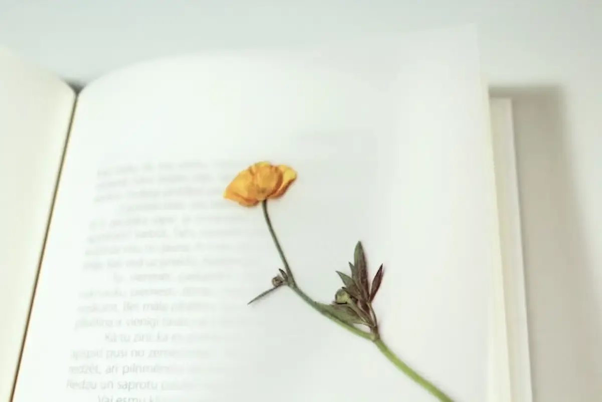 Ilustrasi buku  (Sumber : pexels.com/@elina-araja)