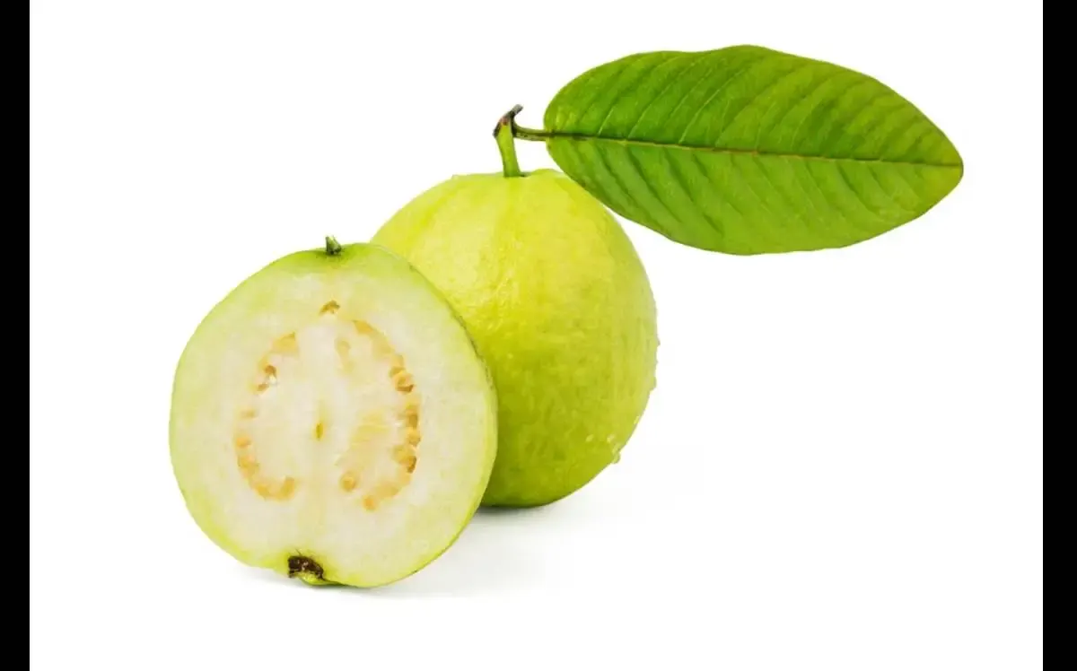 5 Manfaat Jambu Biji, Buah Segar Penuh Khasiat Untuk Kesehatan (Sumber : freepik.com)
