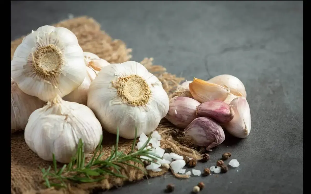 Apa Saja Keuntungan dan Kerugian Makan Bawang Putih Mentah Bagi Kesehatan Tubuh ? (Sumber : freepik.com)