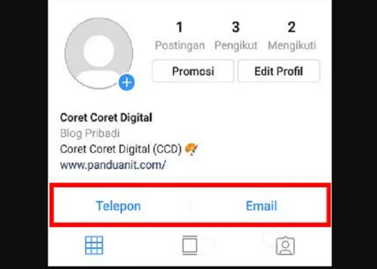 Ilustrasi penggunaan tombol kontak e-mail di bio Instagram.com (Sumber : pinterest.com/panduanit)