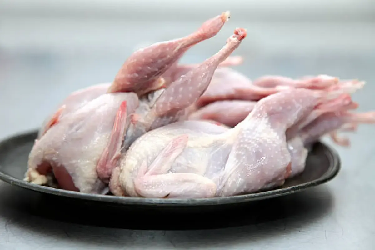 Apakah Burung Puyuh Halal? Simak Penjelasannya Biar Gak Asal Makan (Sumber : Istockphoto.com)