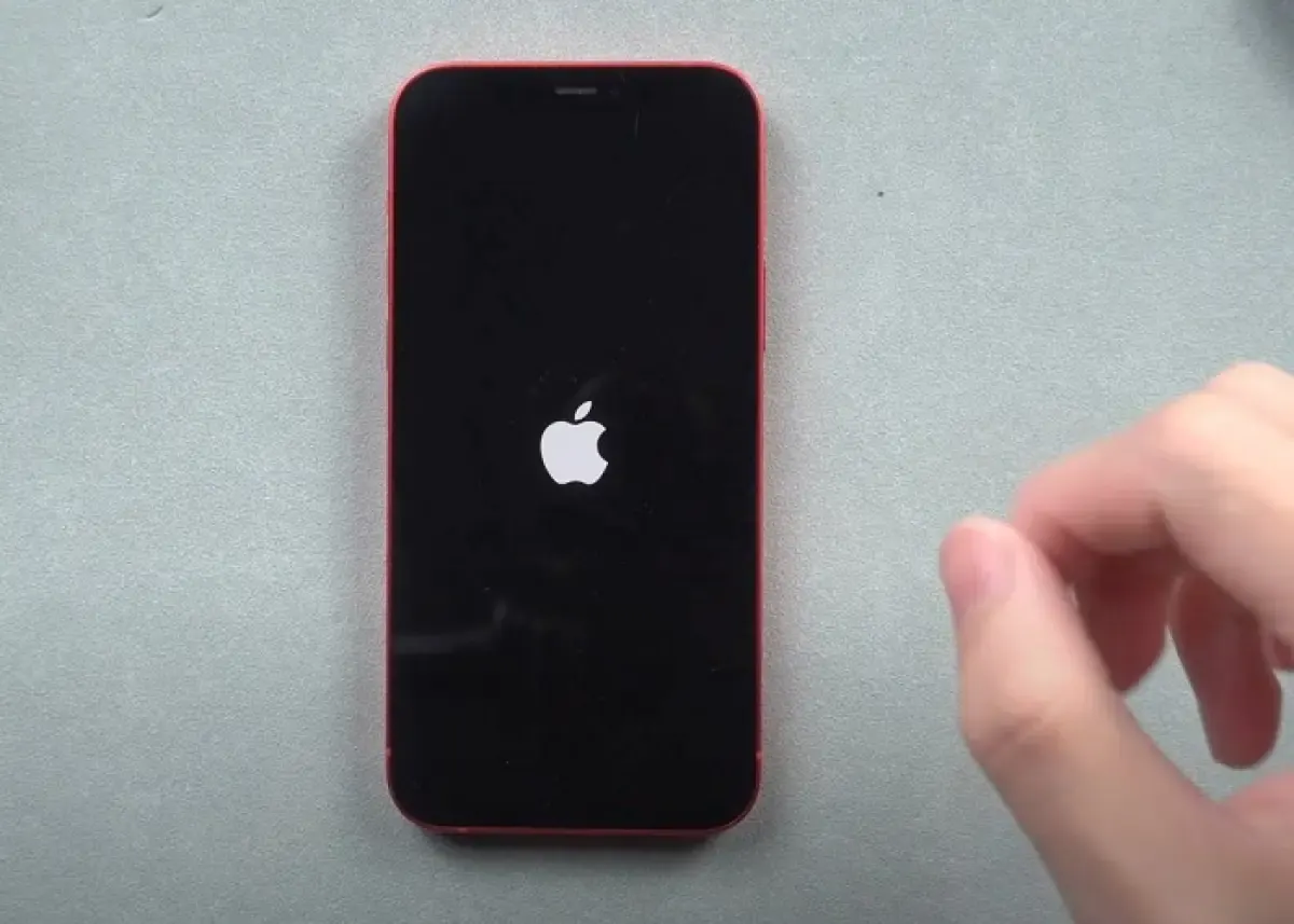 iPhone error, stuck di logo Apple (Sumber : appleinsider.com)