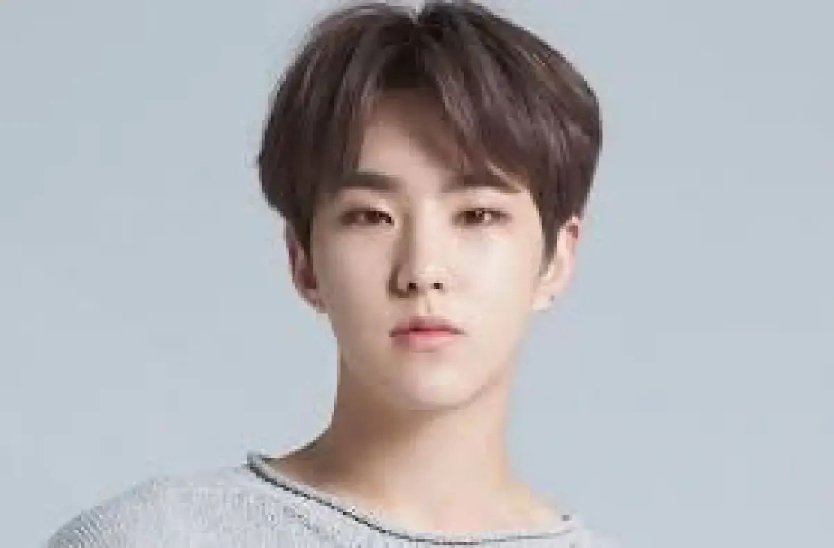 Lirik dan Terjemahan Lagu STAY Oleh Hoshi SEVENTEEN (Sumber : Pinterest)