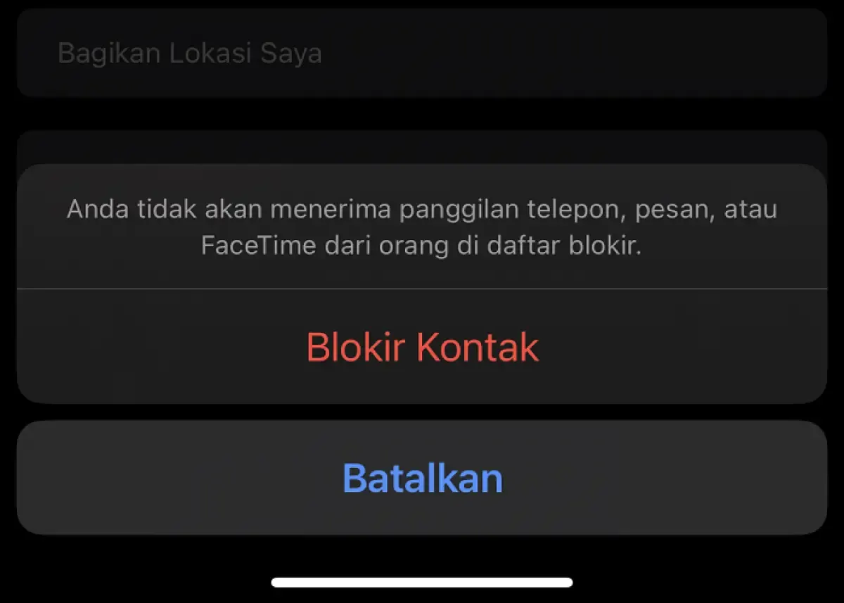 Ilustrasi blokir kontak di Iphone (Sumber : Labviral.com)
