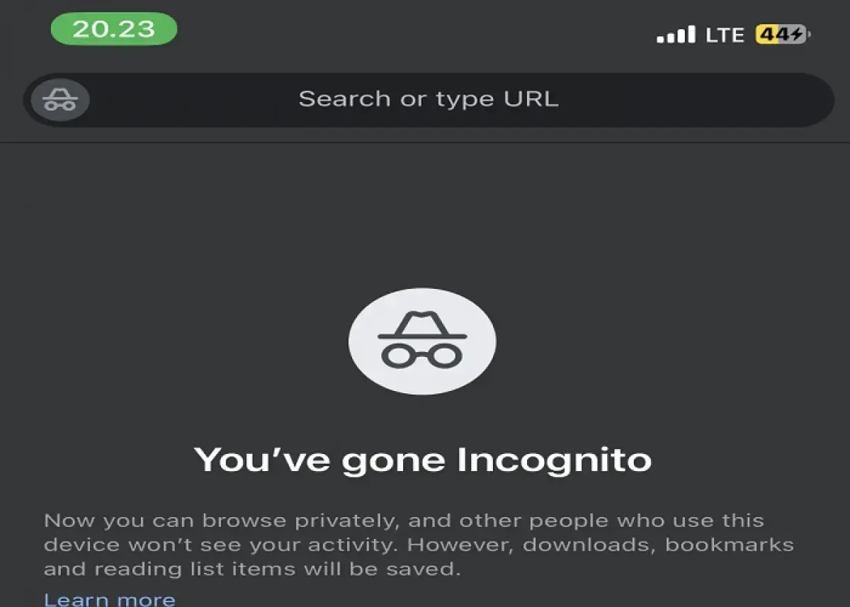 Ilustrasi tab Incognito di Google Chrome iPhone (Sumber : Labviral.com)