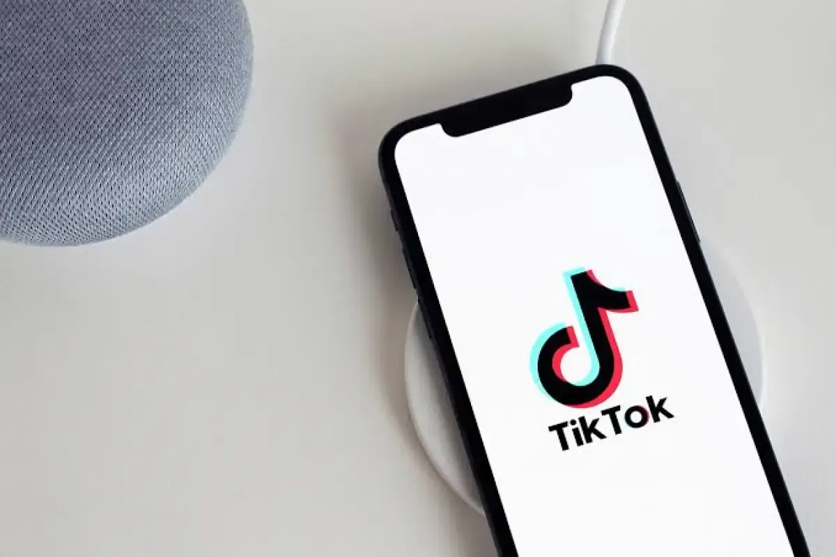 Ilustrasi aplikasi tiktok (Sumber : Pixabay)