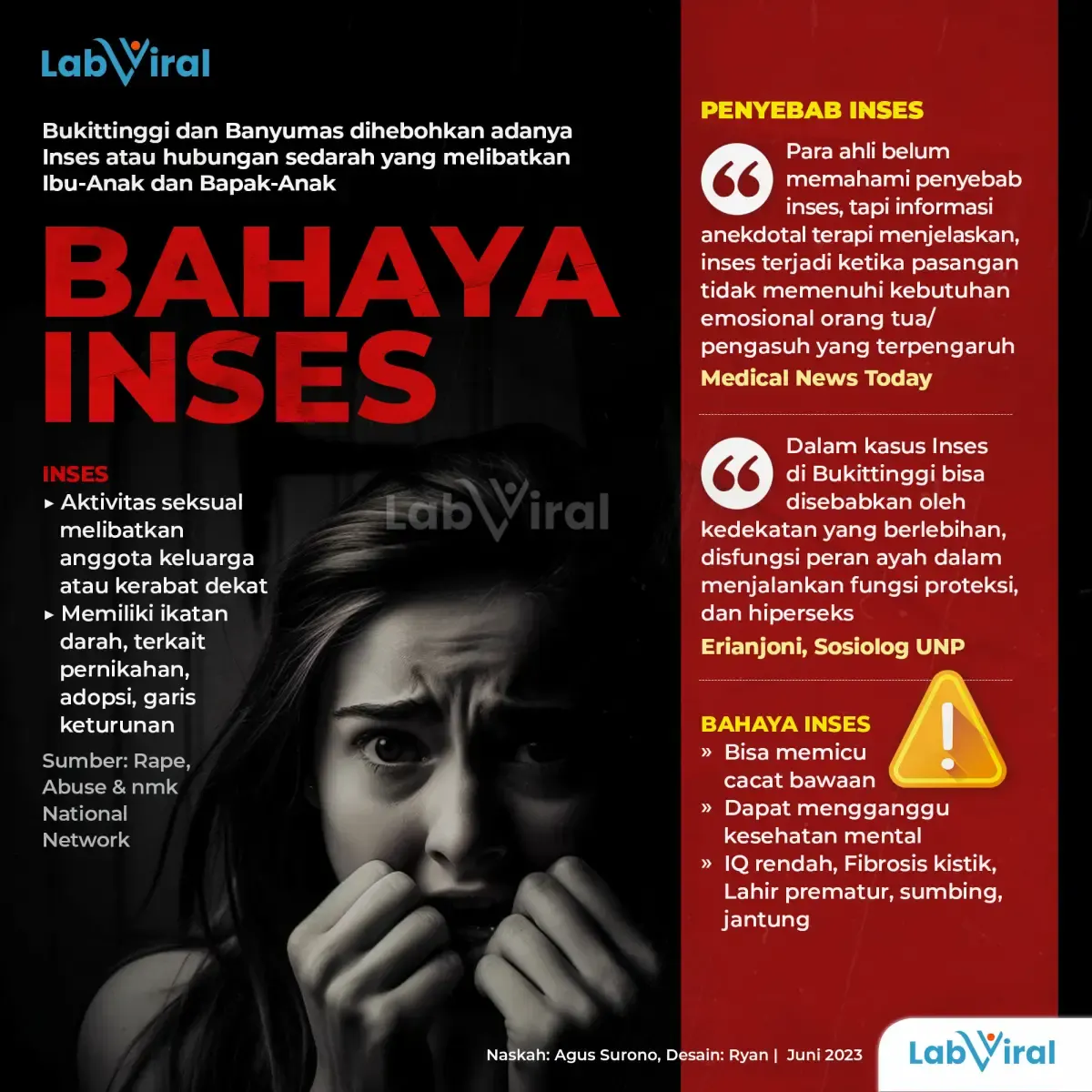 Infografis Bahaya Inses