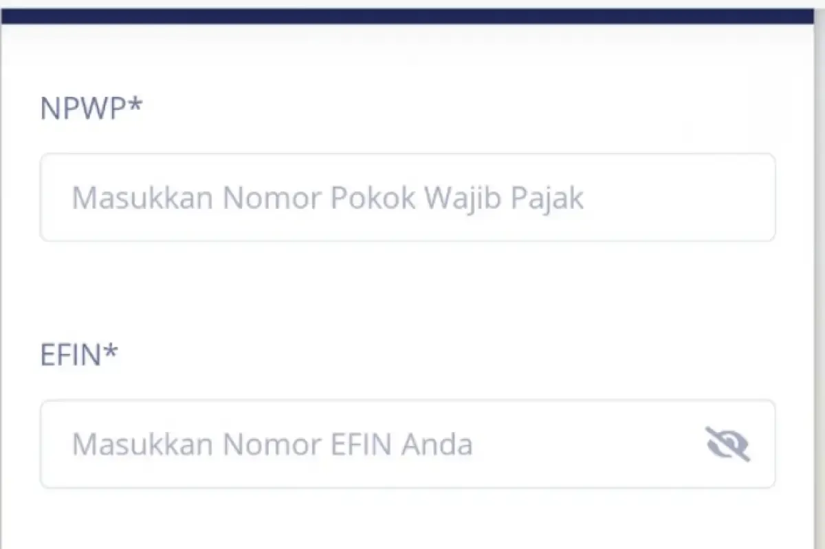 Website DJP ada EFIN online (Sumber : Tangkapan layar)