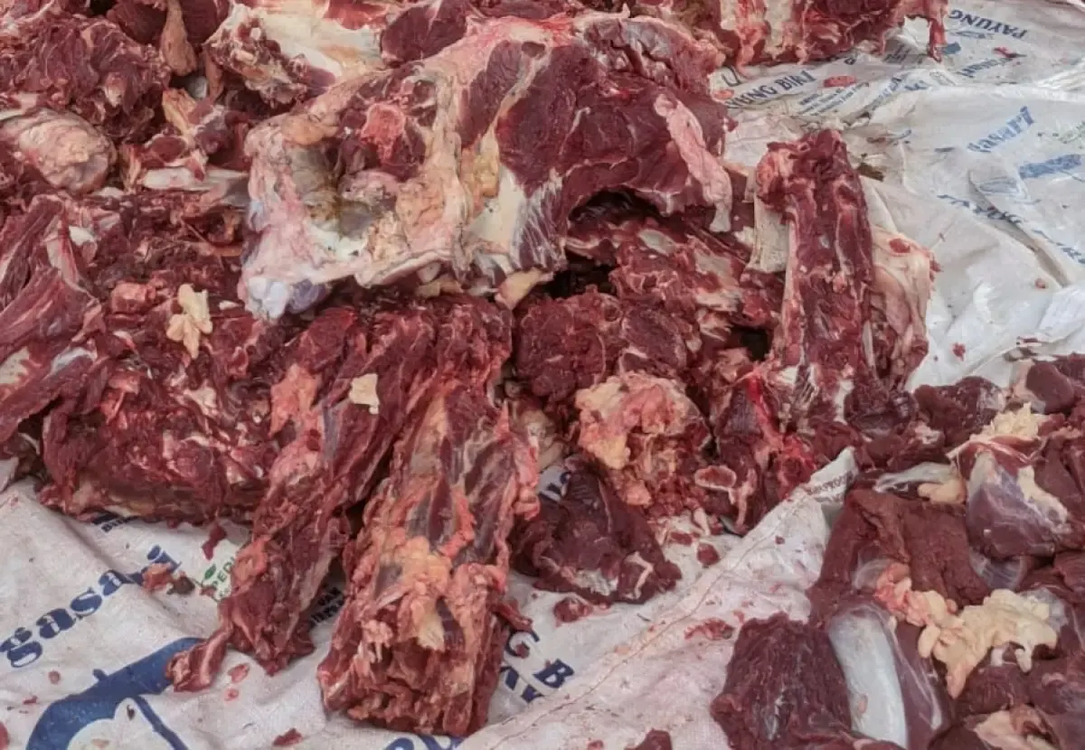 Daging kurban (reporter: labviral.com/)