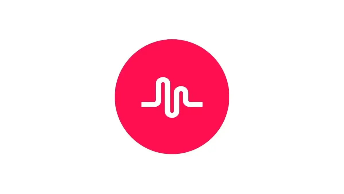 Yuk Mengenal Apa Itu MusicallyDown, Begini Cara Menggunakannya Beserta Kelebihan dan Kekurangannya (Sumber : Pinterest)