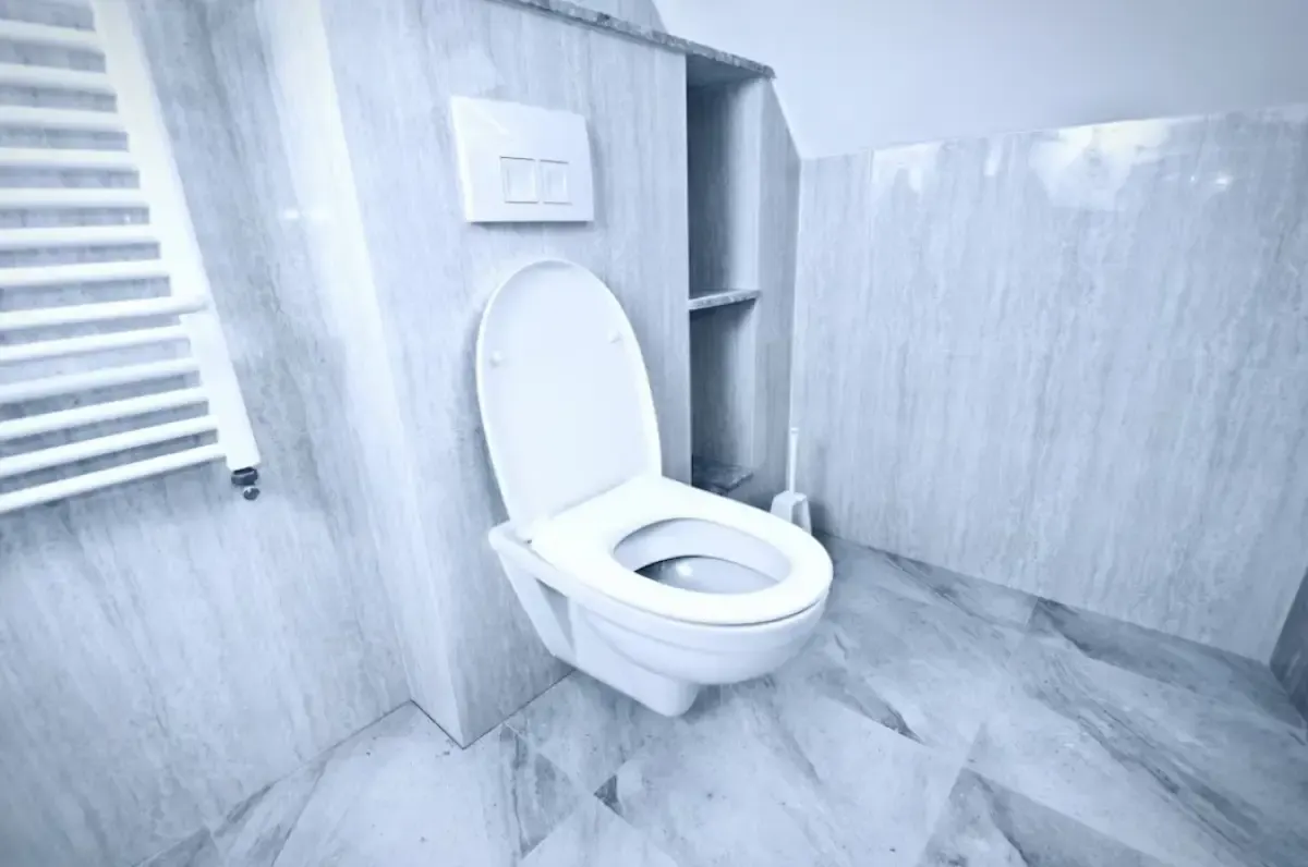 5 Cara Mengatasi WC Mampet yang Bisa Kamu Praktekkan di Rumah. Cara ini Bisa Menyelamatkan Kamu dari Situasi yang Tidak Menyenangkan  (Sumber : freepik.com)