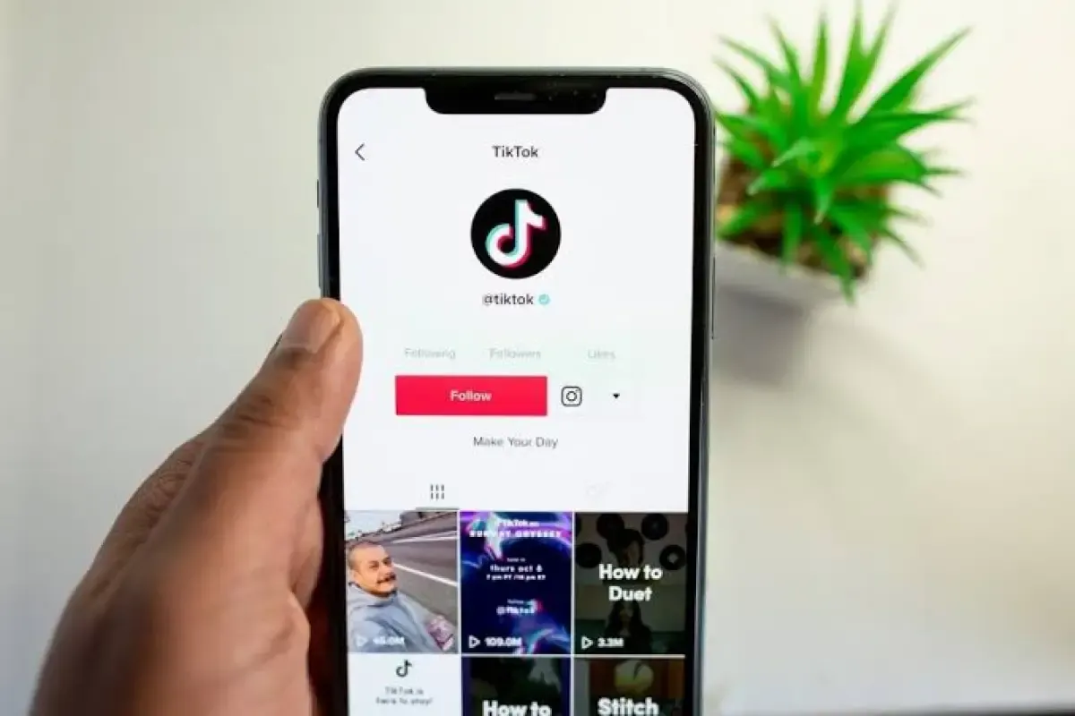 Cara daftar dan optimalkan konten untuk TikTok Affiliate. (Sumber : Pixabay)