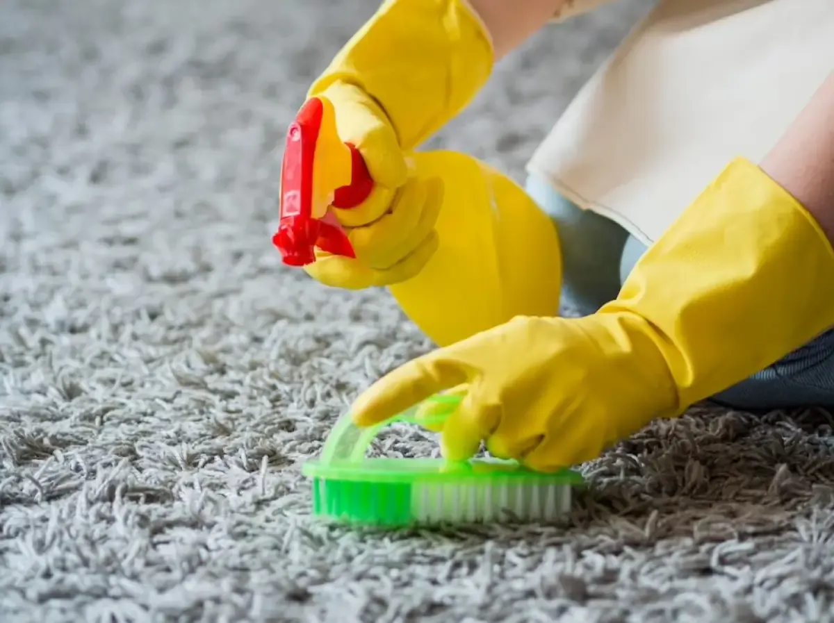 Tips Agar Karpet Harum Setelah Dicuci, Lengkap dengan Bahan Penghilang Bau Apek yang Dijamin Karpet Wangi dan Bebas Noda (Sumber : freepik)