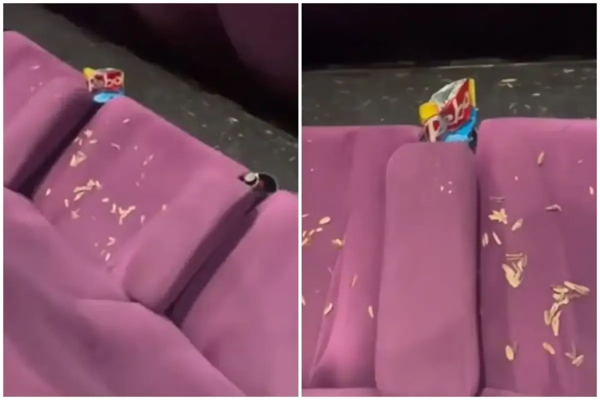 Potret sampah kulit kuaci di bangku penonton bioskop  (Sumber : Instagram/fakta.jakarta)