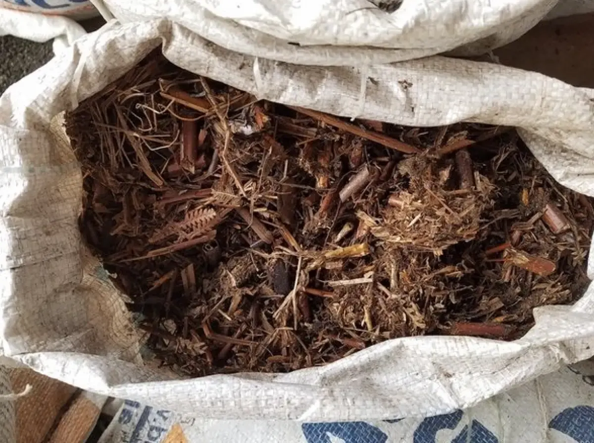Media Tanam Andam Itu Apa? Penjelasan dan Manfaat Bagi Pertumbuhan Tanaman Hias Termasuk Aglonema (Sumber : Bukalapak)