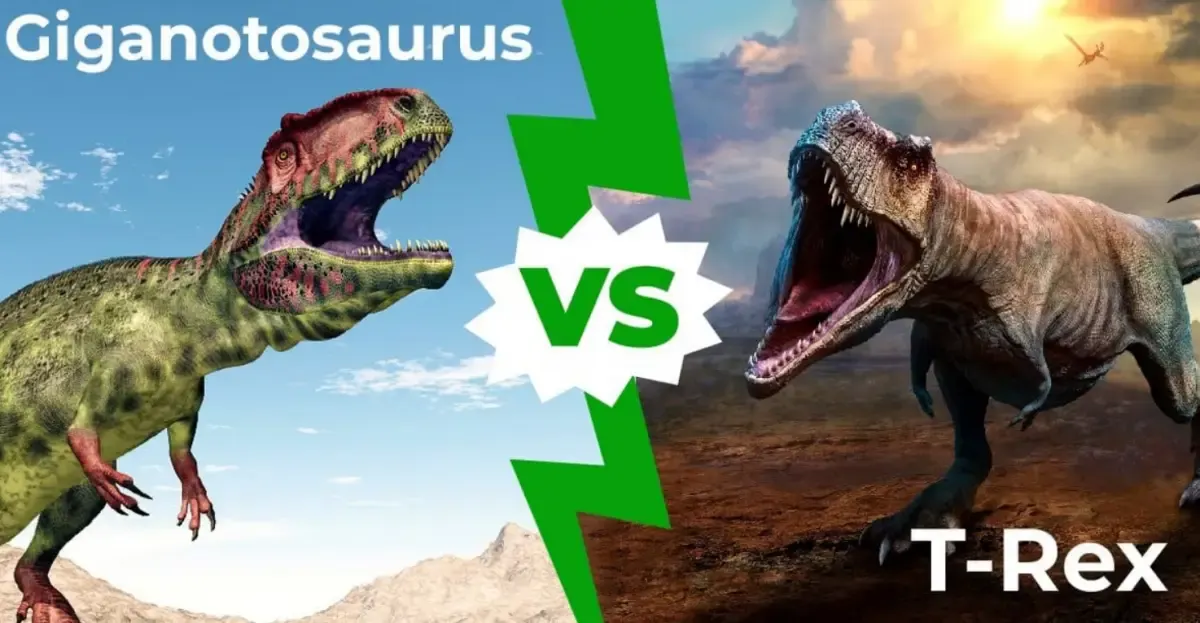Giganotosaurus vs T-Rex: Siapa yang Akan Menang dalam Pertarungan? Berikut Ulasan Lengkapnya (Sumber : a-z-animals.com)
