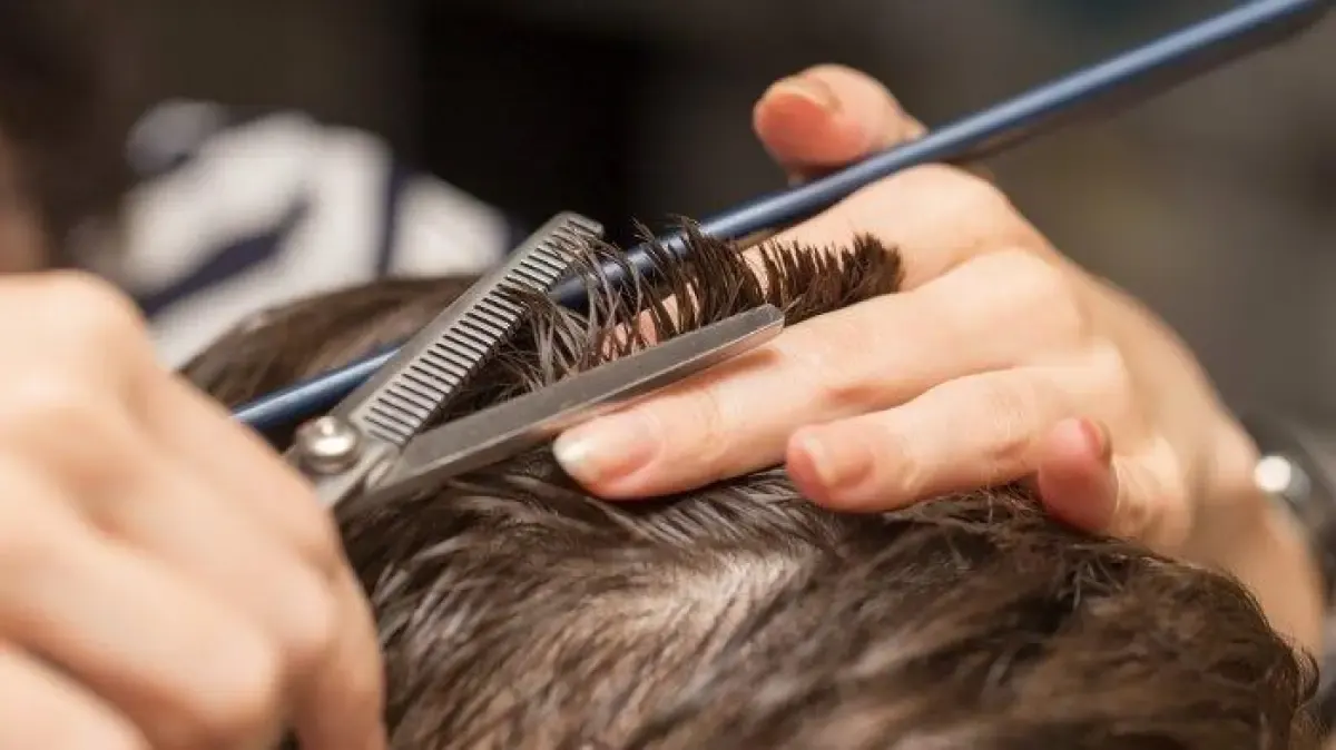 Serba-Serbi Imlek 2024: Bolehkah Potong Rambut Saat Imlek, Dan Kapan Waktunya? (Sumber : Pinterest)