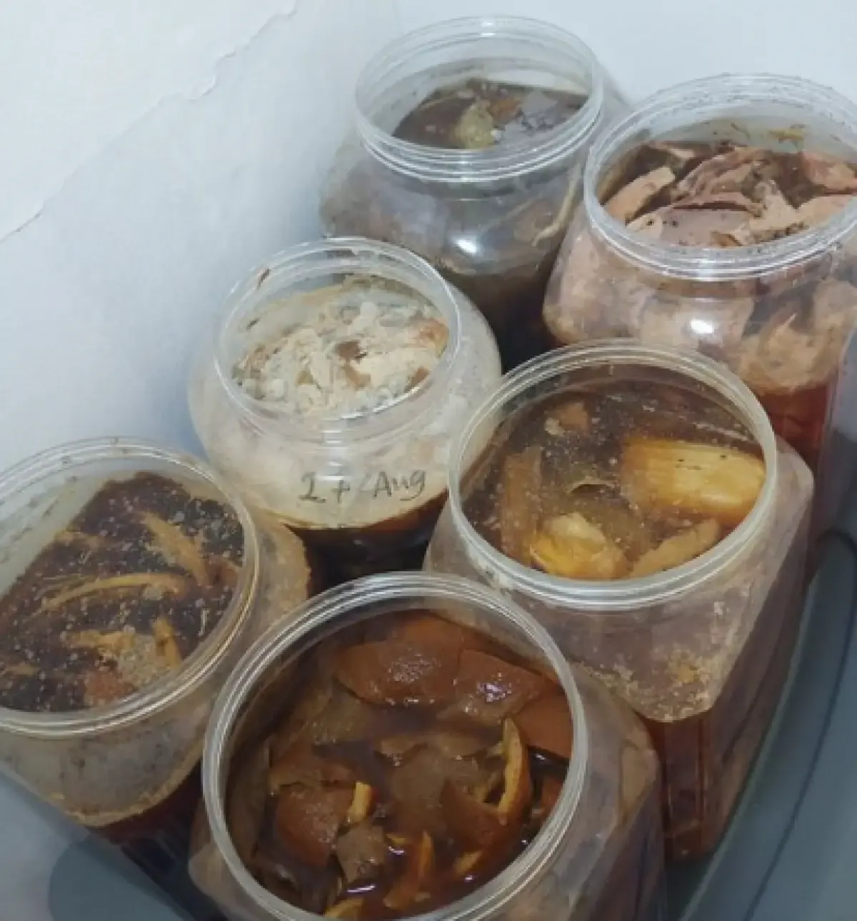 Apa Itu Eco Enzym? Ini Penjelasan dan 8 Manfaat Eco Enzym yang Bisa Membantu Kamu Mengolah Sampah Organik (Sumber : Pinterest)
