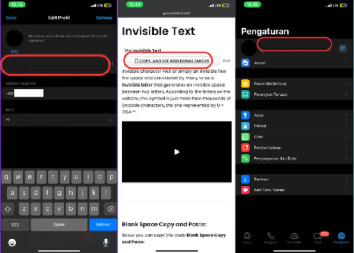 Nama akun WhatsApp kosong (Sumber : Labviral.com)