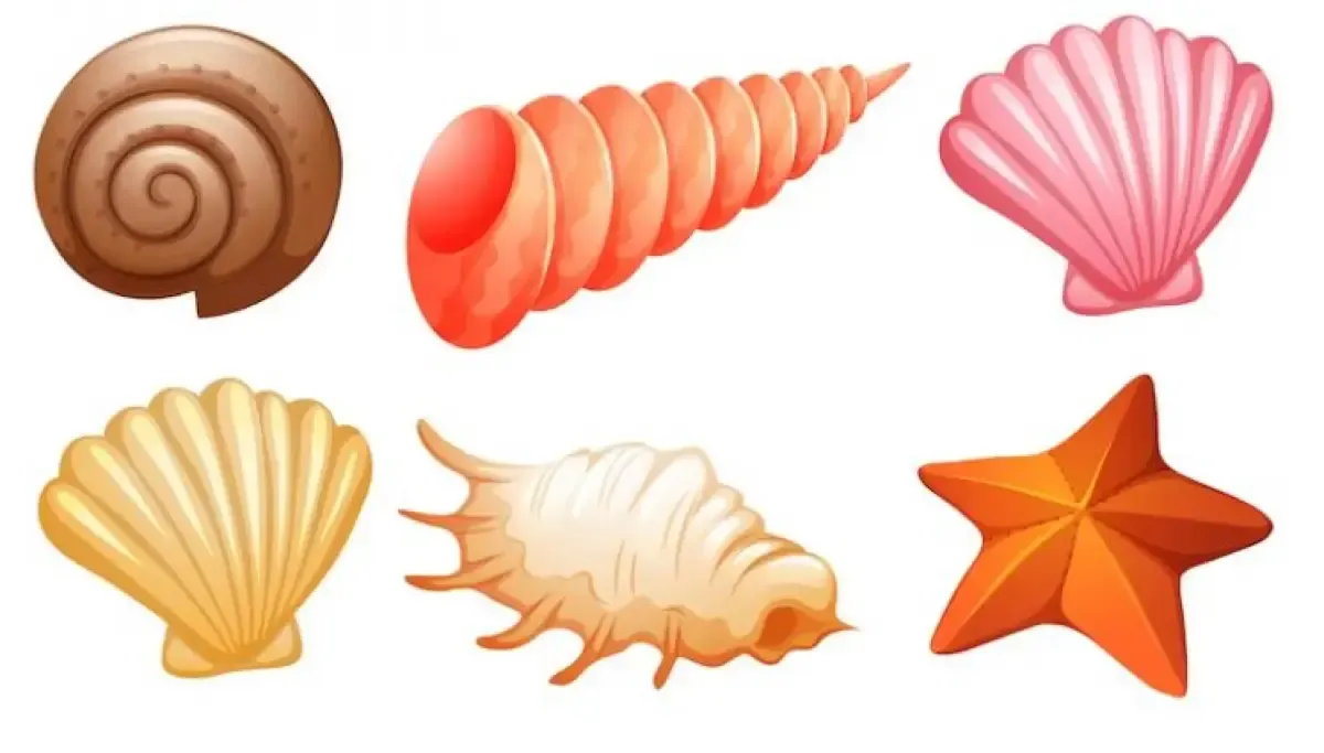 Contoh hewan invertebrata (Sumber : freepik/brgfx)