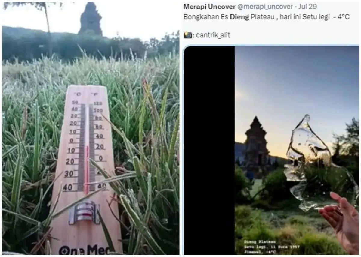 Potret kawasan Dieng membeku. (Sumber : Instagram/cantrik_alit via Twitter/merapi_uncover)