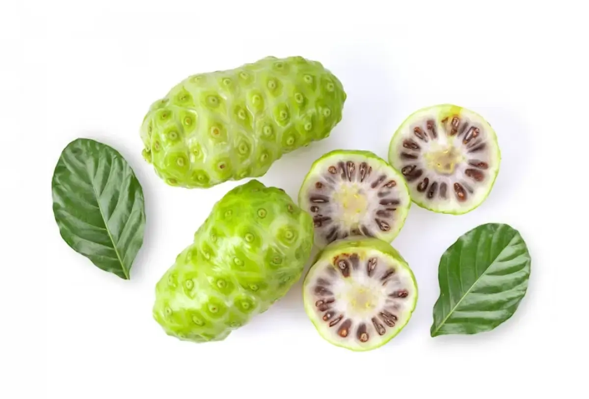 Ilustrasi buah mengkudu. (Sumber : freepik.com)