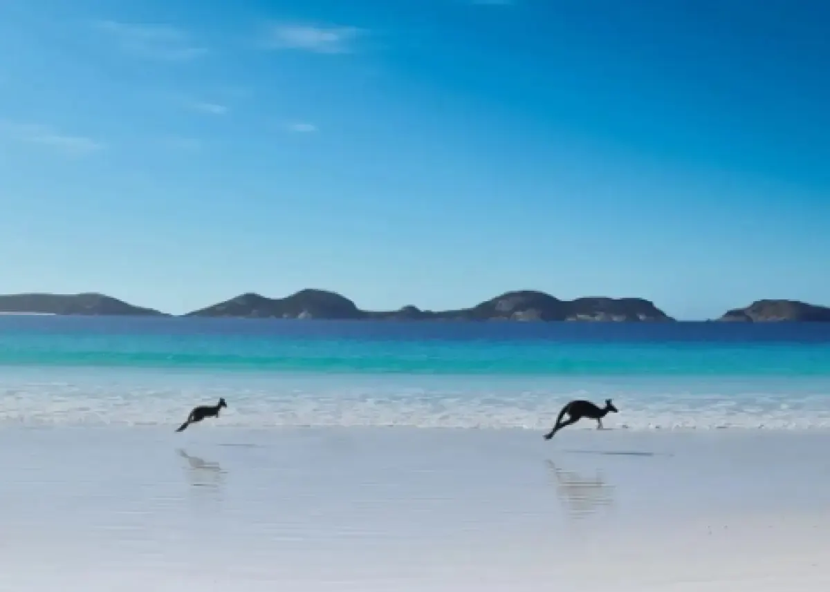 7 Pantai Terindah di Dunia 2023, Bisa Bermain Bersama Kanguru dan Penguin, Seru Banget! (Sumber : Instagram/so.perth)