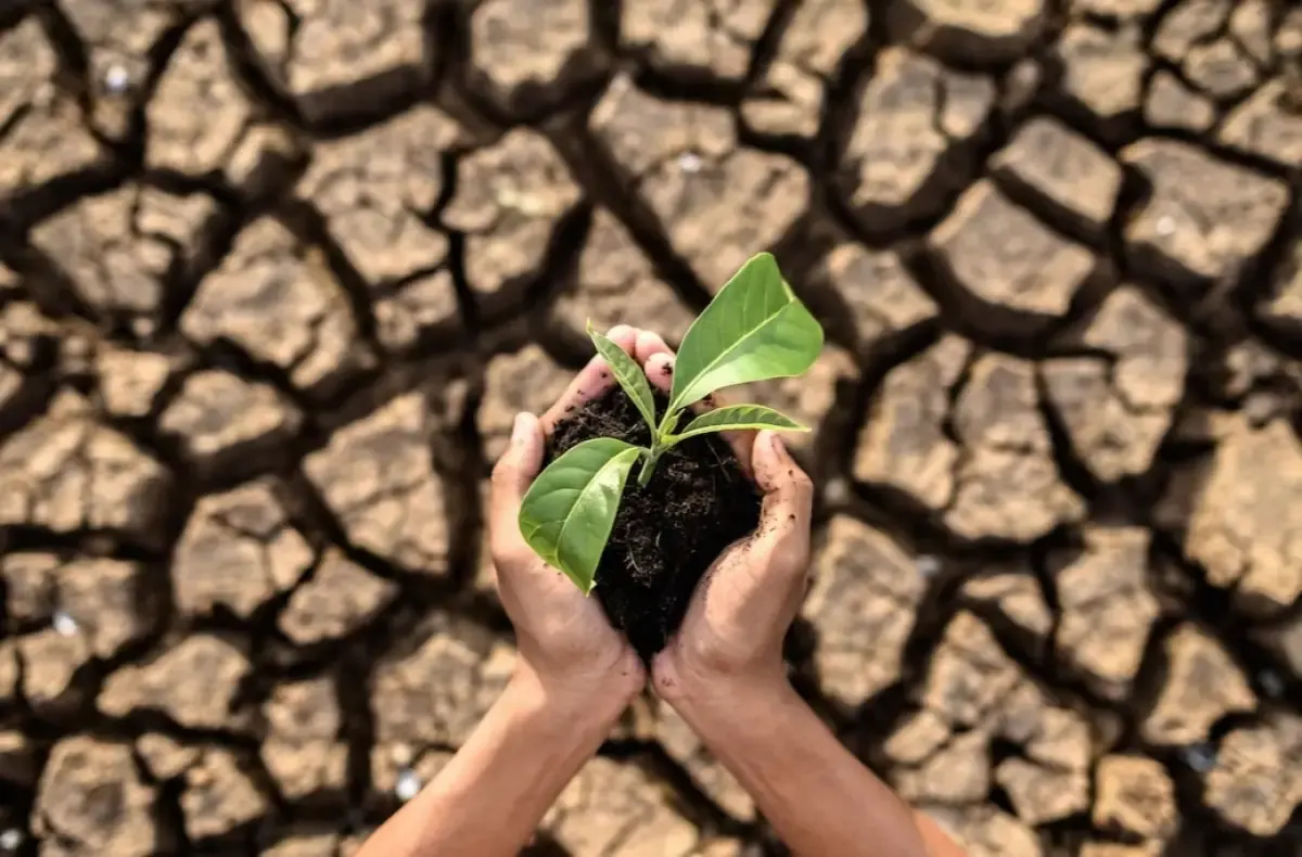 Dampak Perubahan Iklim Bagi Bumi dan Manusia, Mulai dari Lingkungan Hingga Keamanan (Sumber : freepik.com)