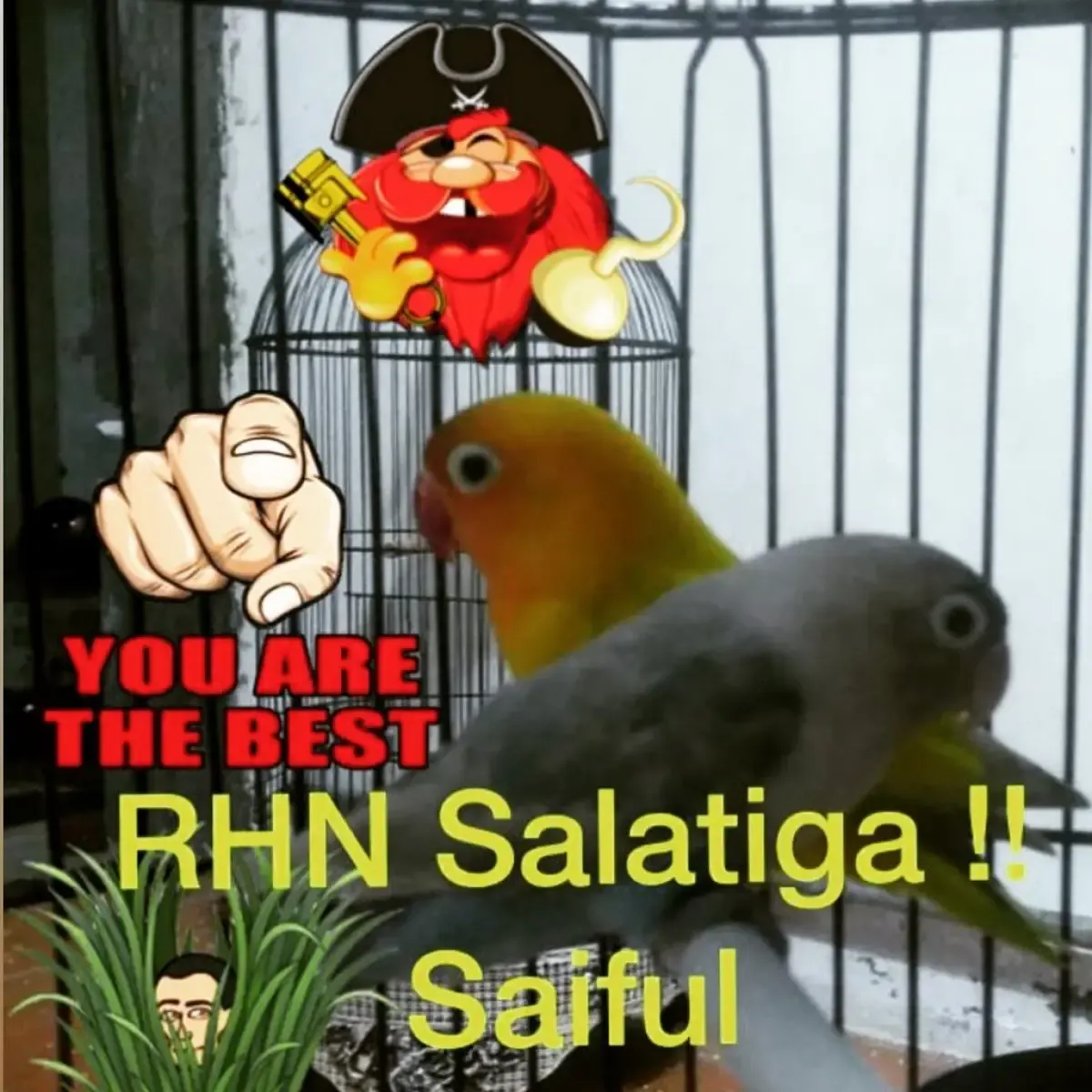 Unggahan Lapana Saragih di Instagram tentang hobinya memelihara burung. (Sumber : Instagram Lapana Saragih)