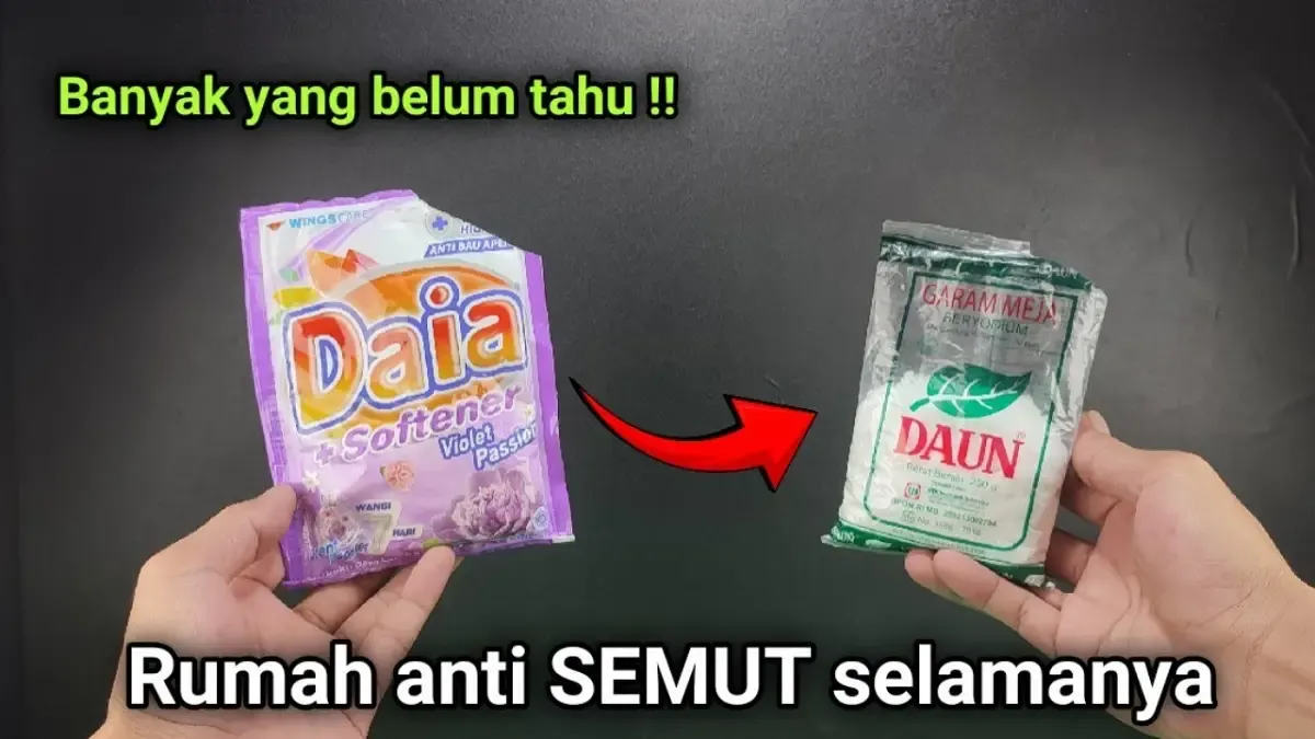 Cara Gampang Mengusir Semut dari Rumah Pakai Bahan Sederhana. Cukup Dua Bahan ini, Semut dan Serangga Langsung Kabur (Sumber : YouTube/TUKANG AB)