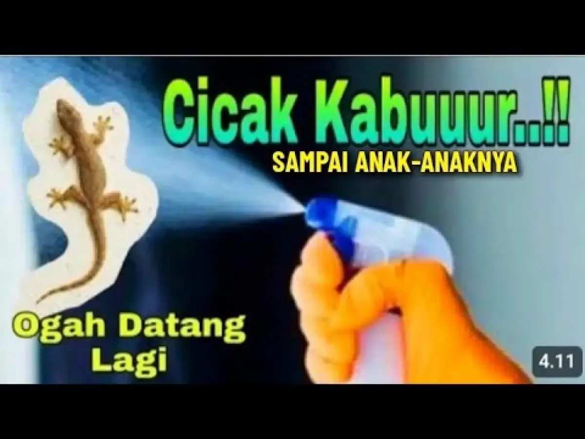 Cara Ampuh dan Alami Usir Cicak dari Rumah, Beneran Praktis dan Mudah, Ternyata Cuma Pakai Dua Bahan ini! (Sumber : Tangkap Layar Youtube IDE KREATIF CHANNEL)