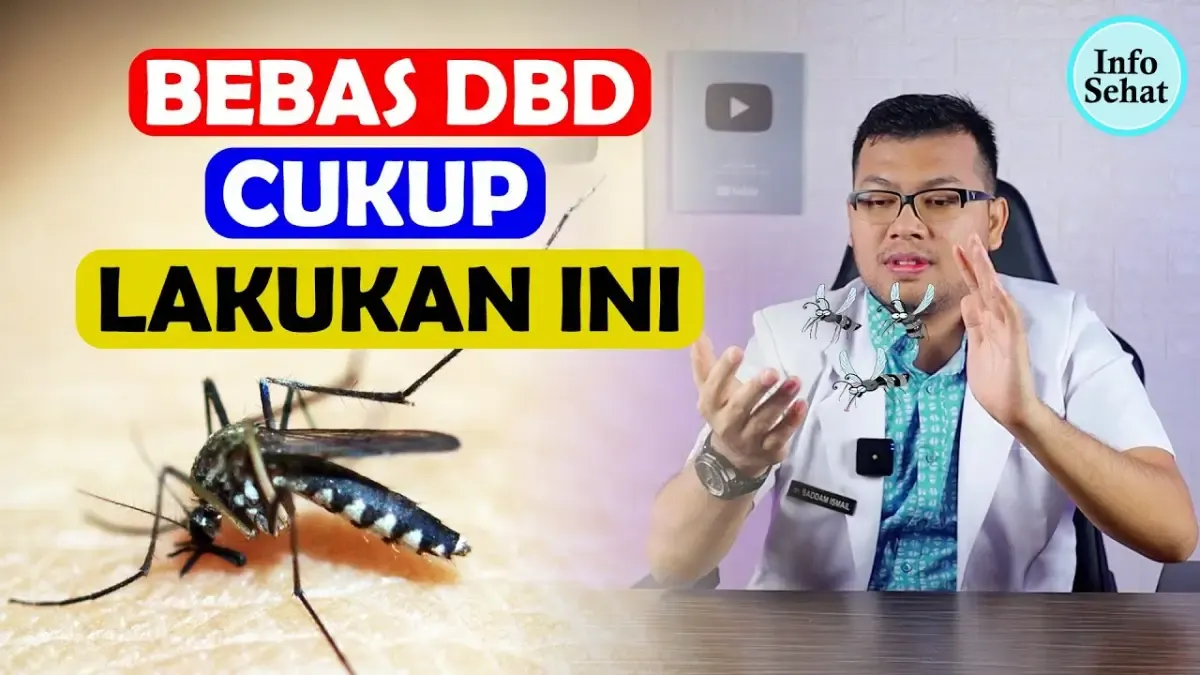 Demam Berdarah Mengancam? Pastikan Kamu Lakukan Pencegahannya Seperti ini, Termasuk Jaga Daya Tahan Tubuh (Sumber : Tangkap Layar Youtube Saddam Ismail)