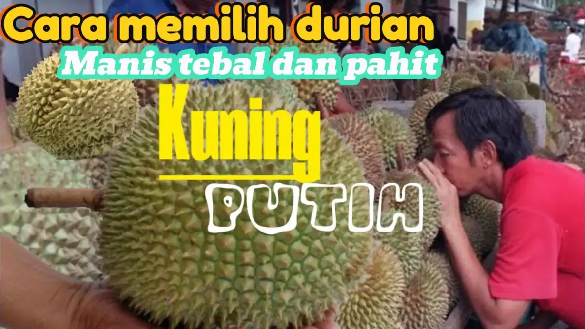 Bingung Memilih Durian yang Berkualitas? Tips ini Bakal Bantu Kamu Memilih dengan Tepat, Anti Gagal dan Nggak Bakal Bikin Kamu Kecewa! (Sumber : Tangkap Layar Youtube Durian kendal)
