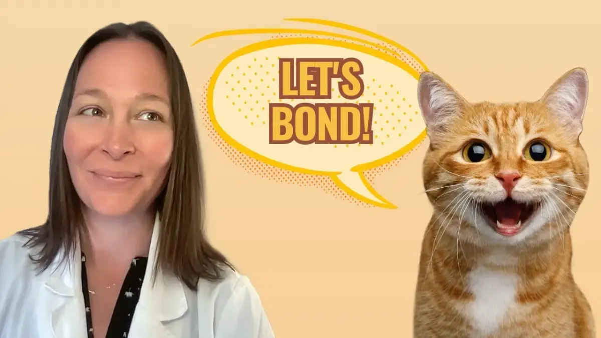 5 Cara ini Terbukti Ampuh Untuk Membangun Hubungan yang Lebih Kuat dengan Kucing Kamu, Nomor 4 Kadang Keliru Kamu Lakukan!(Sumber : Tangkap Layar Youtube Cats)
